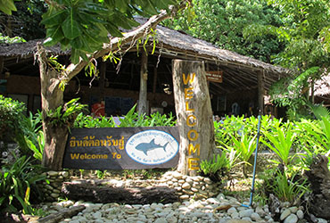 surin national park headquarters entrance
